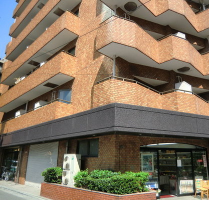 東京都中央区銀座８丁目 賃貸マンション 1R